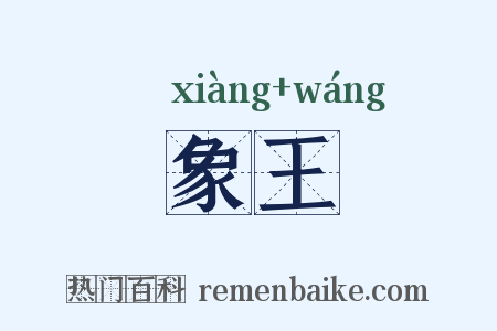 象王是什么意思的图片